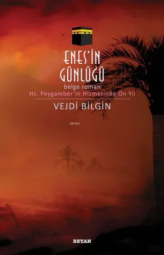 Enes'in Günlüğü - Prof. Dr. Vejdi Bilgin - Beyan Yayınları