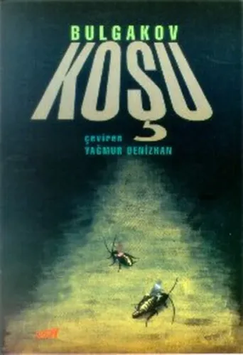 Koşu