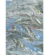 Jung  Hesse İki Dostluğun Anıları