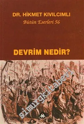 Devrim Nedir -         2011