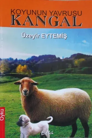 Koyunun Yavrusu Kangal Üzeyir Eytemiş