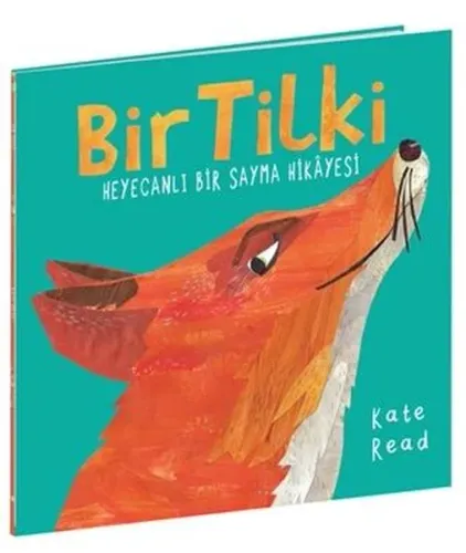 Bir Tilki
