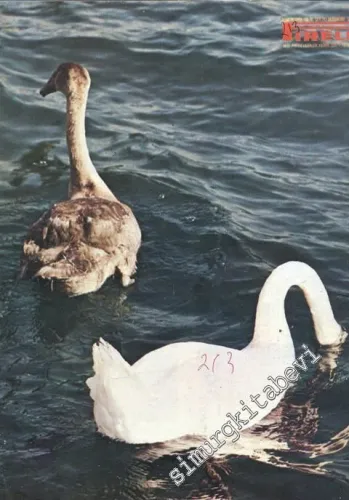Pirelli: Aylık Mecmua ( Dergi ) - Yıl: 18; Sayı: 213; Haziran 1982