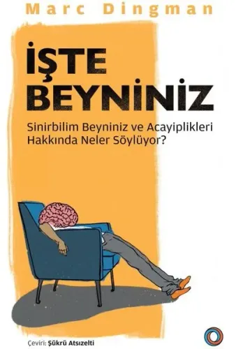 İşte Beyniniz; Sinirbilim Beyniniz ve Acayiplikleri Hakkında Neler Söylüyor?