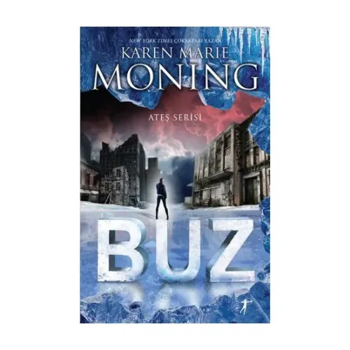 Ateş Serisi: Buz - Karen Marie Moning