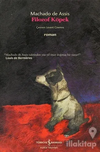 Filozof Köpek
