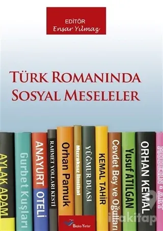 Türk Romanında Sosyal Meseleler