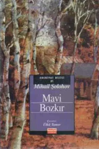 Mavi Bozkır