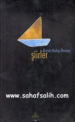 Şiirler