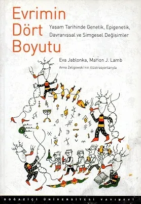 Evrimin Dört Boyutu