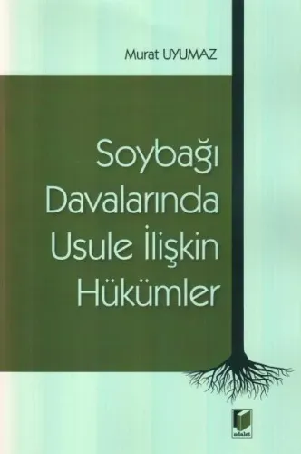 Soybağı Davalarında Usule İlişkin Hükümler