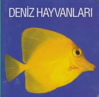 Deniz Hayvanları Koleksiyon Komisyon