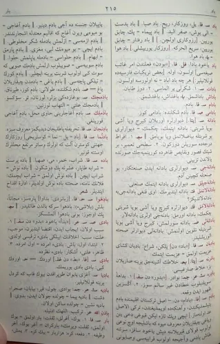 Kamus-ı Turki (Öğrenciye Özel, Renkli, Yeni Dizgi)