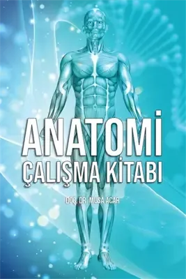 Anatomi Çalışma Kitabı