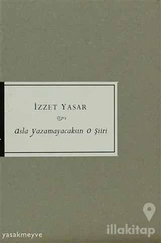 Asla Yazamayacaksın O Şiiri
