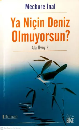 Ya Niçin Deniz Olmuyorsun?