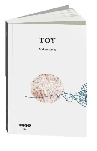 Toy