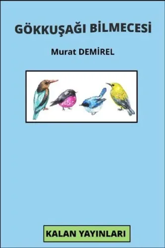Gökkuşağı Bilmecesi