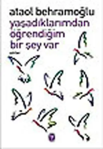 Yaşadıklarımdan Öğrendiğim Bir Şey Var