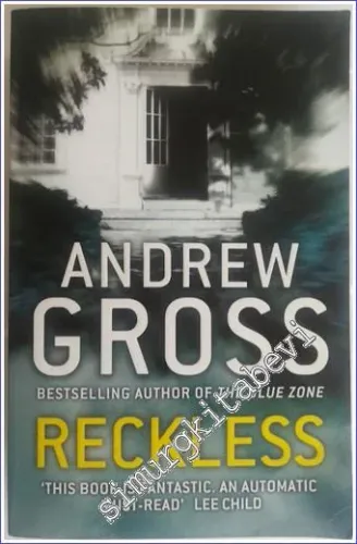 Reckless : A Ty Hauck Novel (Book 3 of 4: Ty Hauck) -        2010
