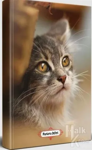 Minik Kedi - Planlama Defteri - Halkkitabevi