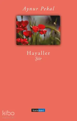 Hayaller