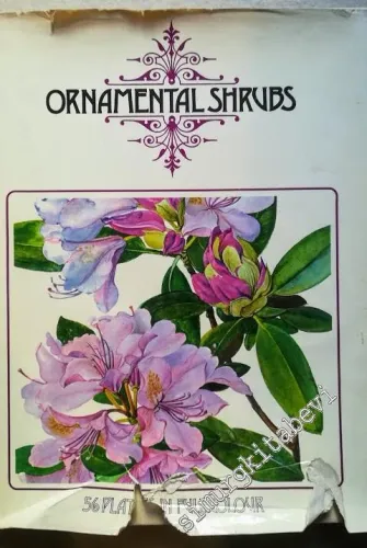 Ornamental Shrubs: 56 Plants in Full Colur -