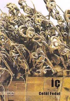 İç