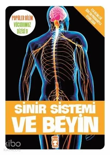 Sinir Sistemi ve Beyin; Popüler Bilim - Vücudumuz Dizisi 9, 9+ Yaş