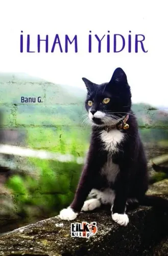 İlham İyidir