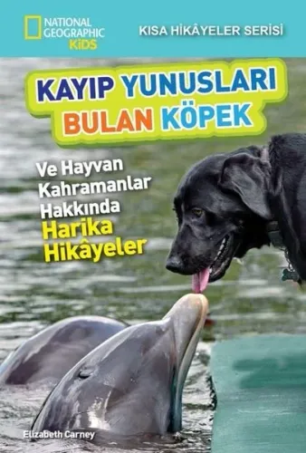 Kayıp Yunusları Bulan Köpek