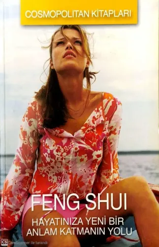 Feng Shuı