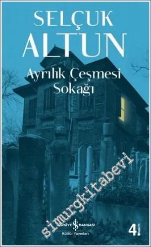 Ayrılık Çeşmesi Sokağı- Hayat Romanlardan Daha Tuhaf 2