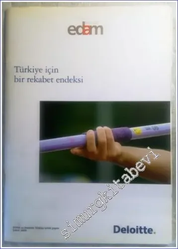 Türkiye İçin Bir Rekabet Endeksi -        2009