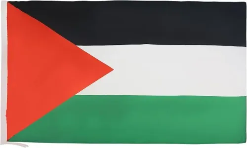 Bayrak - Filistin 70 x 105 cm - Orta Boy