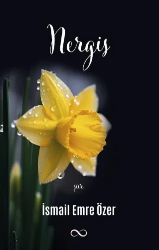 NERGİS