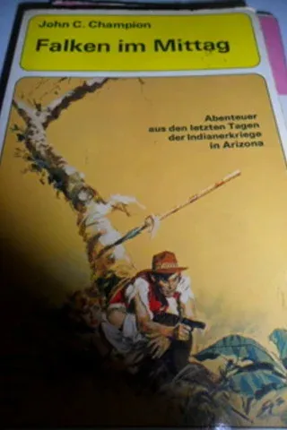 Falken Im Mittag