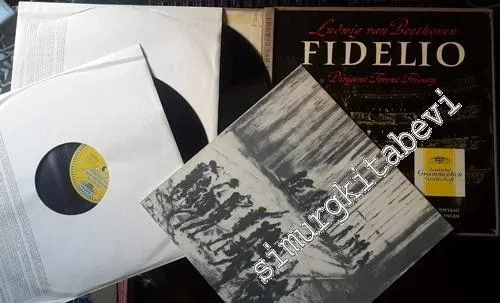 33 LP PLAK VINYL: Ludwig van Beethoven / Ferenc Fricsay / Leonie Rysanek / Irmgard Seefried / Dietrich Fischer-Dieskau / Ernst Hafliger / Gottlob Frick / Friedrich Lenz / Kieth Engen - Fidelio, 2xVinyl, BOX SET -        1963