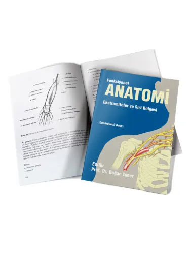 Fonksiyonel Anatomi Ekstremiteler ve Sırt Bölgesi Fonksiyonel Anatomi Ekstremiteler ve Sırt Bölgesi