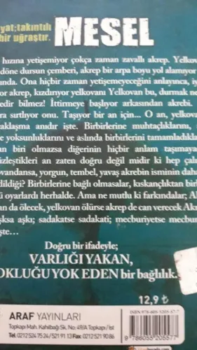 Mesel Hayat Takıntılı Bir Uğraştır Anonim Araf