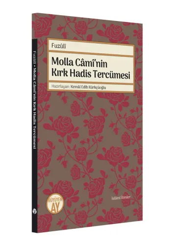 buyuyenayyayinlari.com.tr