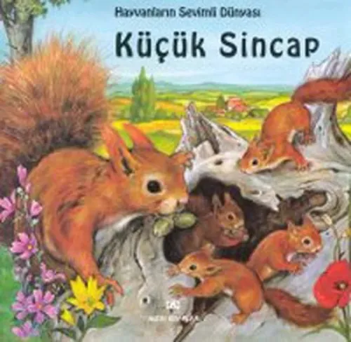 Küçük Sincap