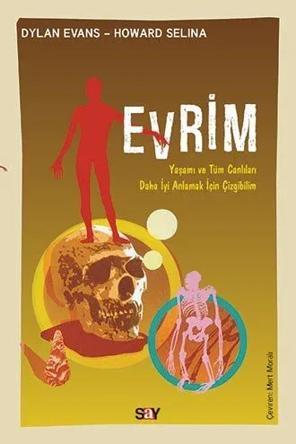 Evrim (Çizgibilim)