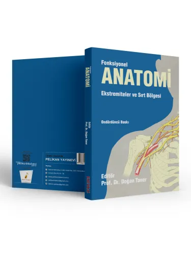 Fonksiyonel Anatomi Ekstremiteler ve Sırt Bölgesi Fonksiyonel Anatomi Ekstremiteler ve Sırt Bölgesi