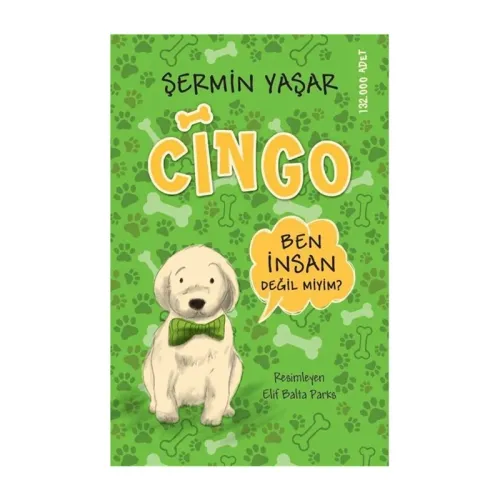 CİNGO
