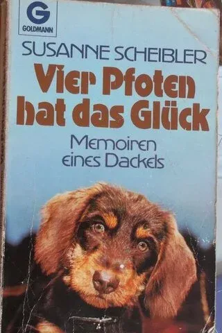 Vier Pfoten Hat Das Glück