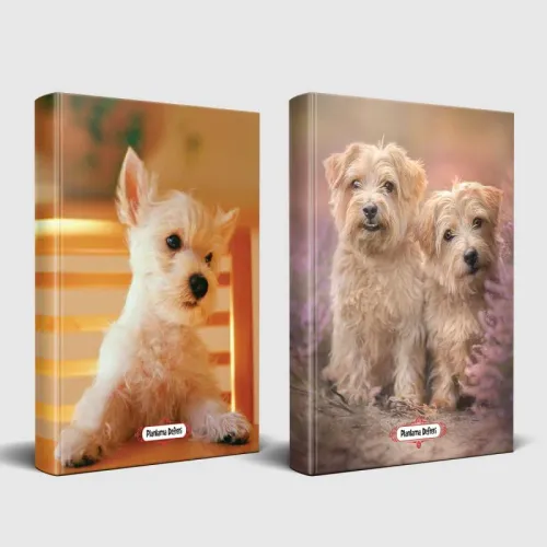 Köpek Temalı Defter Seti Beyaz İkili ve Pamuk Şeker - Halkkitabevi