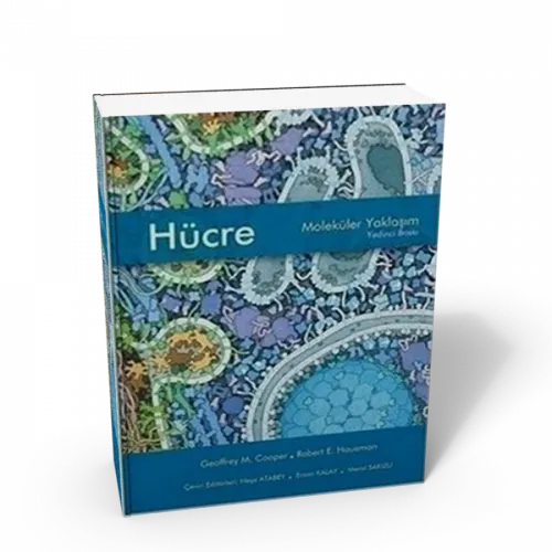 Hücre Moleküler Yaklaşım ( Karton Kapak )
