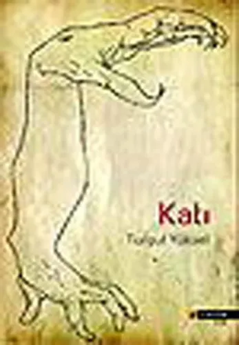 Katı
