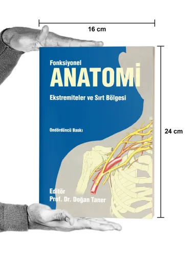 Fonksiyonel Anatomi Ekstremiteler ve Sırt Bölgesi Fonksiyonel Anatomi Ekstremiteler ve Sırt Bölgesi